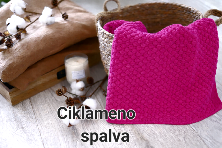 Pledukas Mielumas